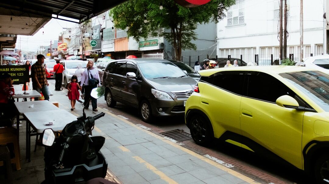 woman with family car