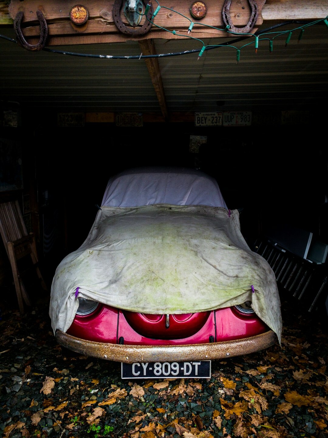 Dust covered vintage automobile revealed under a lifted car cover